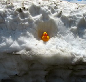 I'm in a 5 foot snow bank in Rocky Mountain National Park