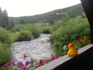 View of river from bridge