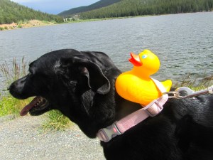 Zeb riding Steve at Echo Lake