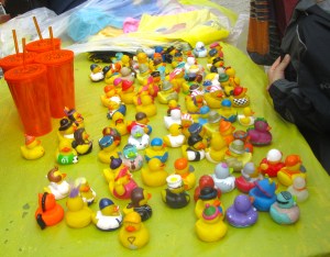 Lots of ducks for sale