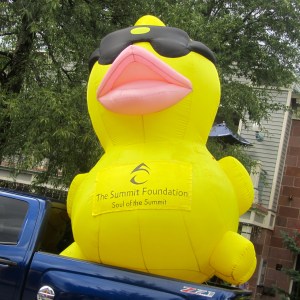 Duck Mascot ready to transport