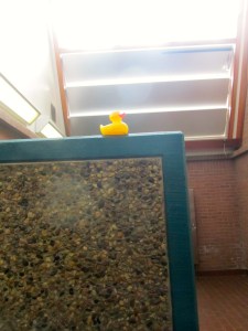 Inside rest area building I am on stone wall with solar panels above