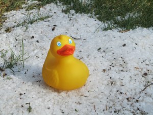 Hail in Black Hills--cold