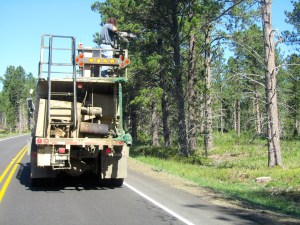 Seeding the shoulder of the road