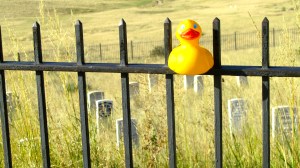 Markers on Last Stand Hill