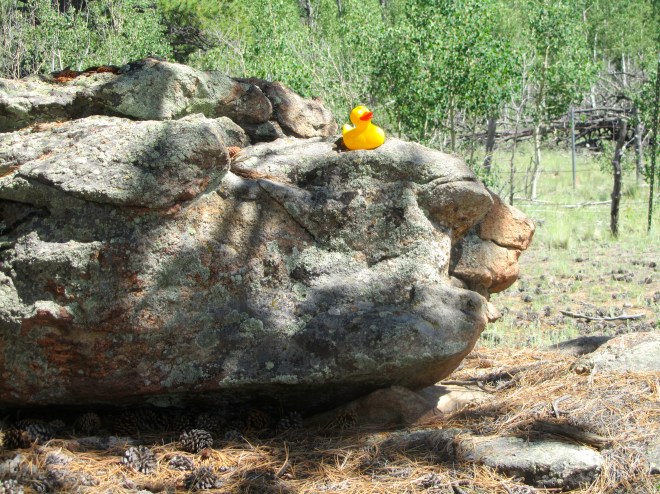 Iguana rock with aspen in background