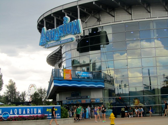 Going to the Aquarium