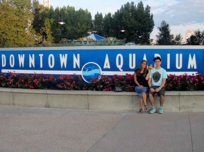 Resting after exploring the aquarium