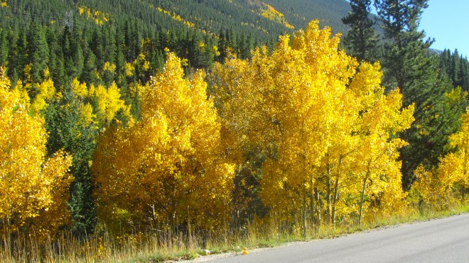 Aspens and mom left me on the road