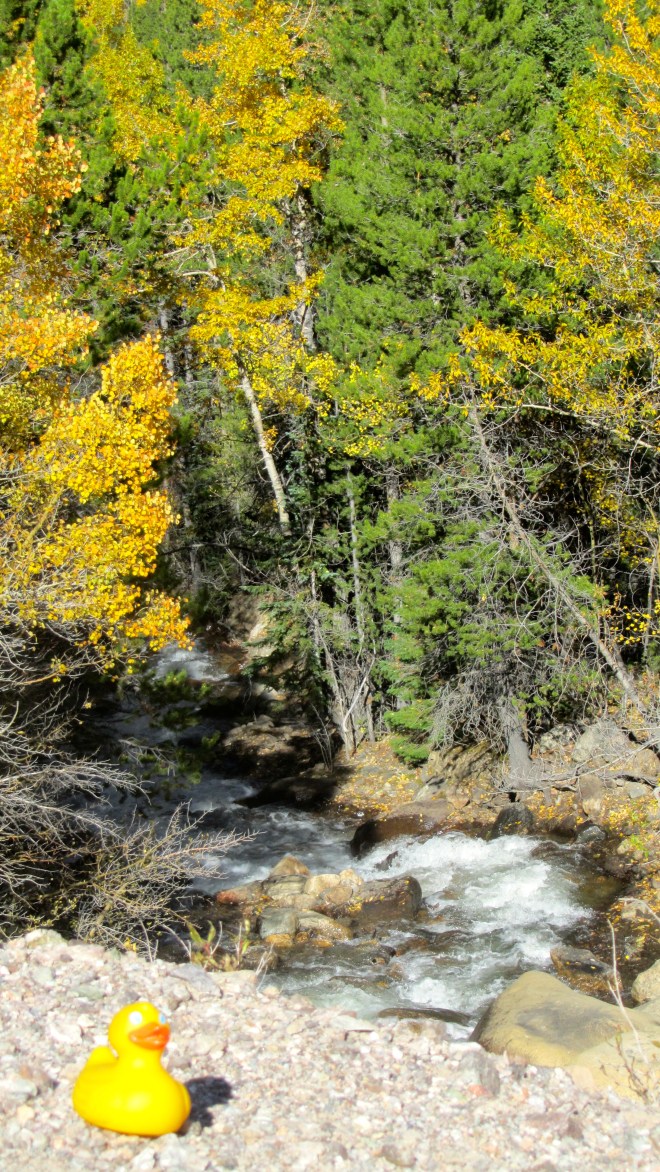 Water rushing through the aspens