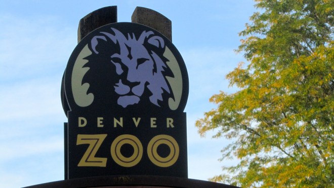 Zeb the Duck goes to the zoo