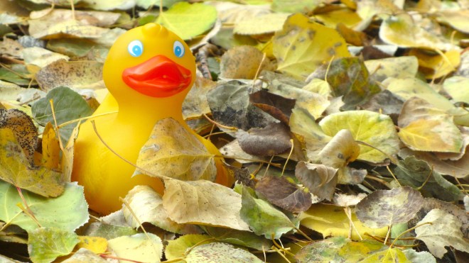 Me, sitting in aspen leaves