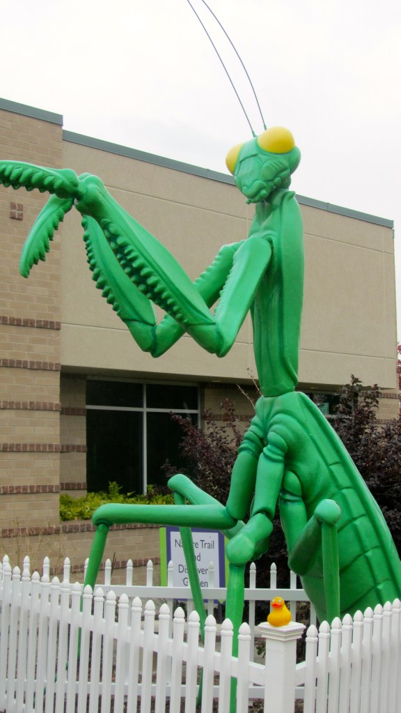 One very large grasshopper at beginning to nature trail