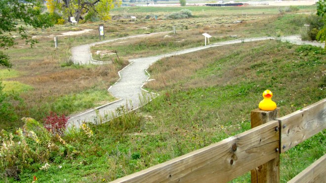 Nature Trail and Discovery Garden