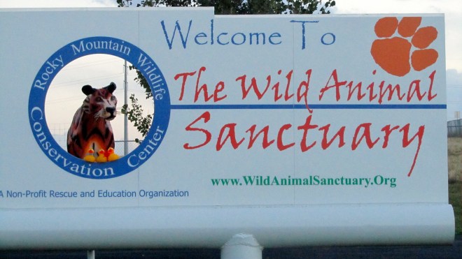 Wildlife Sanctuary with JB Duck, Soapy Duck and Zeb Duck