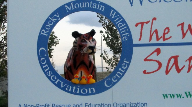 We 3 ducks hope to see you here soon.