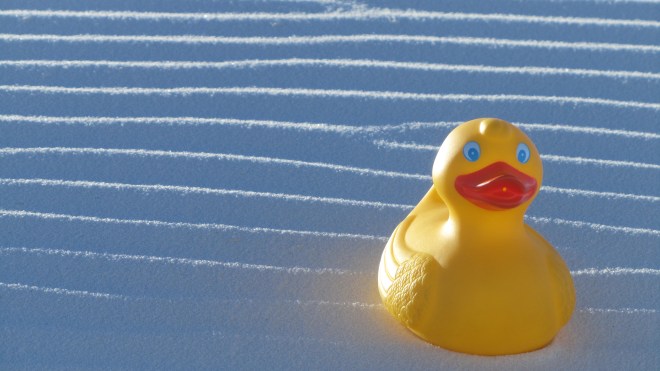 Wind ridges in the sand