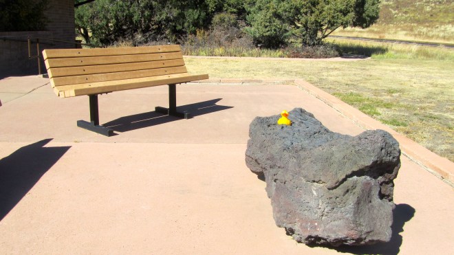 Zeb the duck on lava rock at Visitors Center