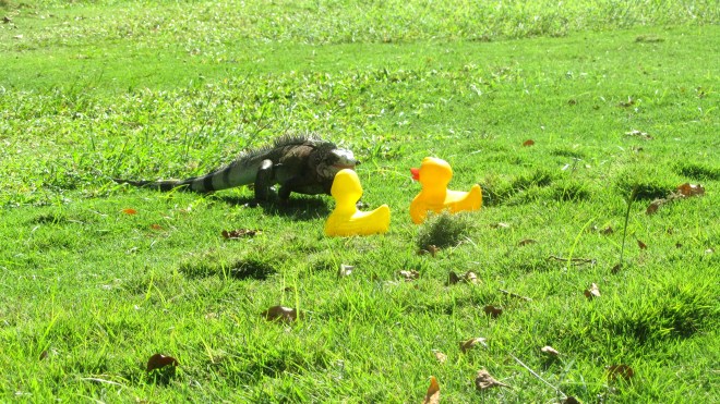 This is really close