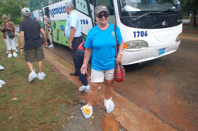 Zeb the duck on a bag boot