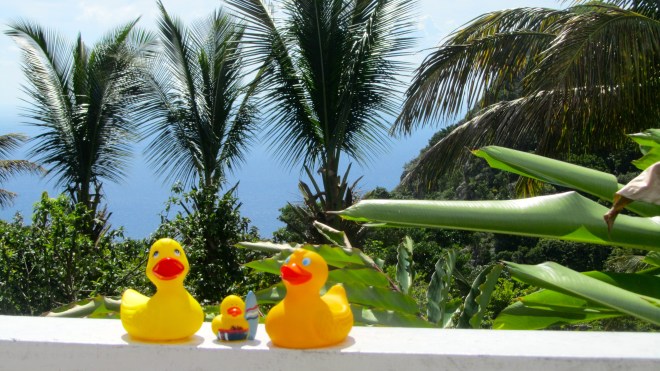 By Tropics Cafe with Caribbean behind