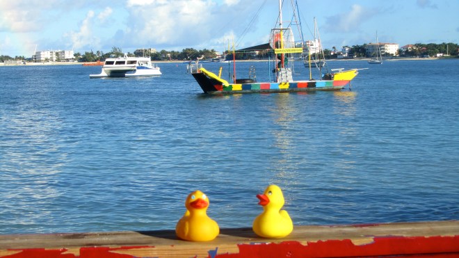 If only we were human kids