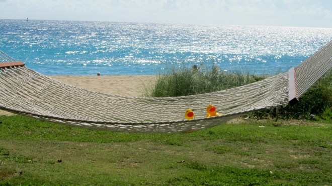 We are liking hammocks