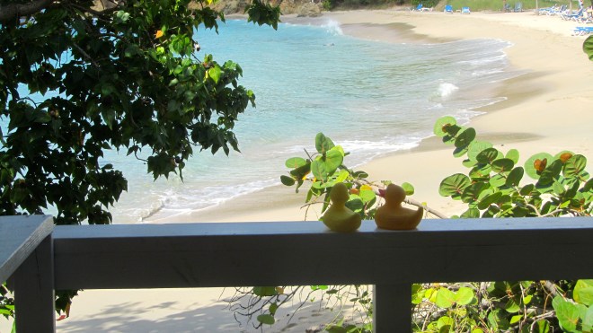 Beach used for weddings