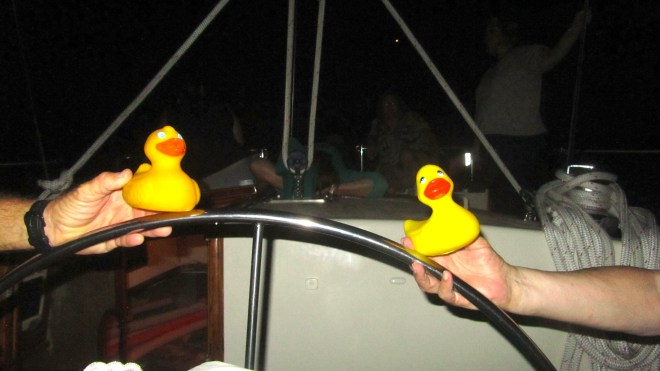 Ducks driving the sailboat!