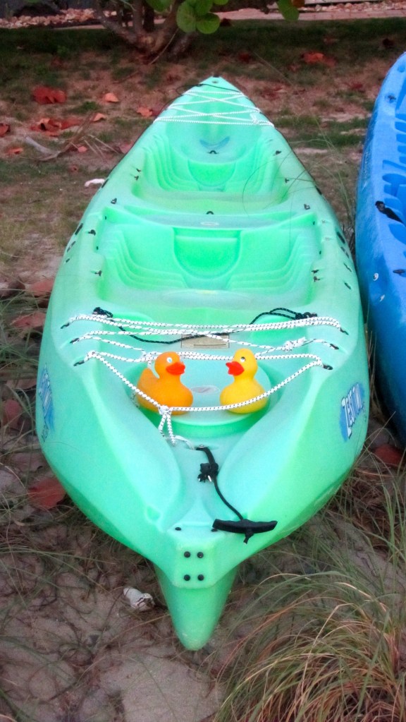 Ducks in a kayak