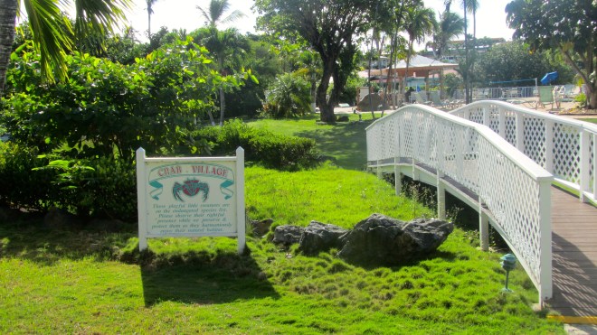 Our resort protects crabs