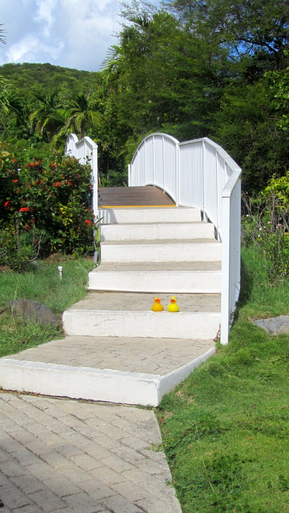 Pretty bridge--with stairs