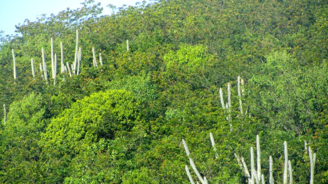 Backyard of our condo