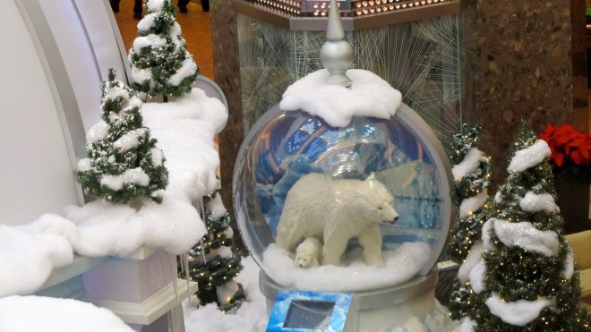 This looks like polar bear weather