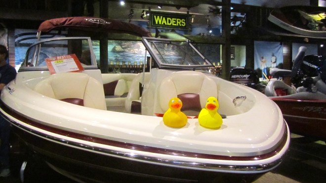 So many boats at Bass Pro