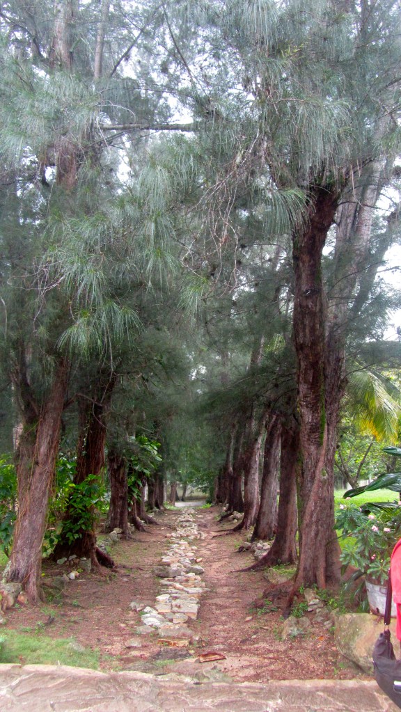 Path from house to pool and tennis court