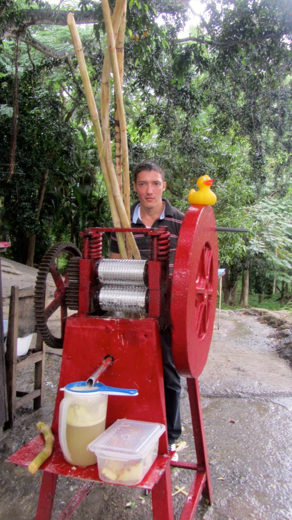 Made fresh sugar cane juice