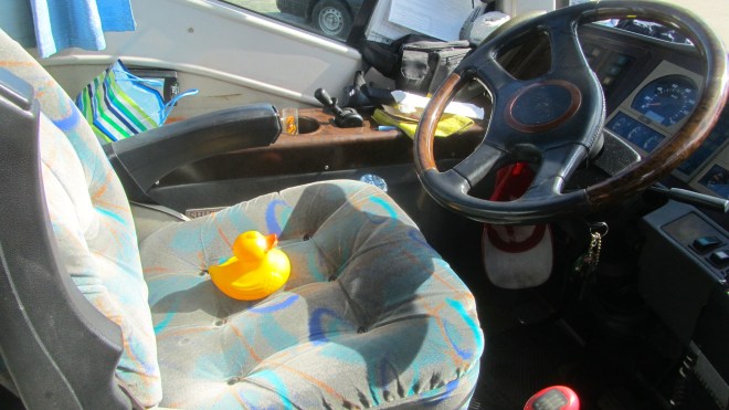 Zeb the Duck, bus driver
