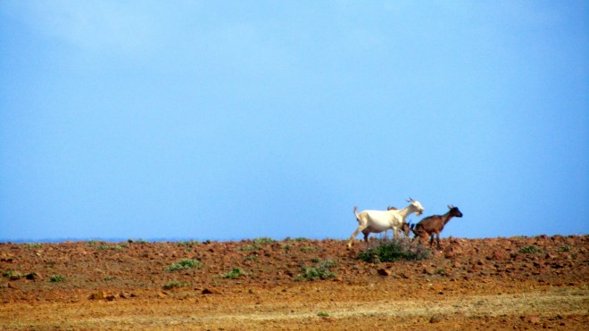 Going to Akikok National Park