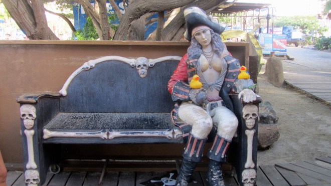 We like this Ms. Pirate