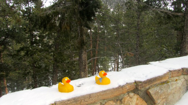 Estes Park, Colorado