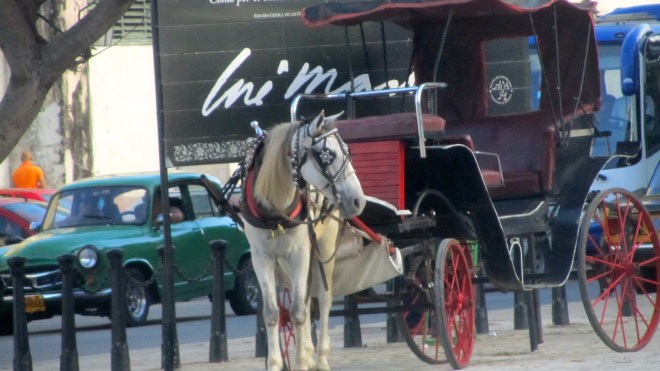Ride in a horse carriage
