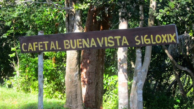 Cafetal Buenavista