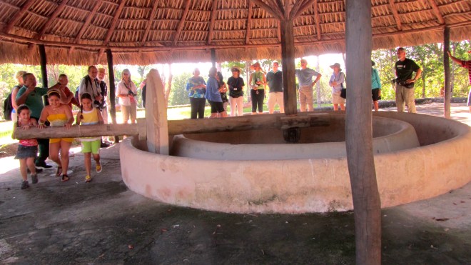 to extract coffee beans from shells