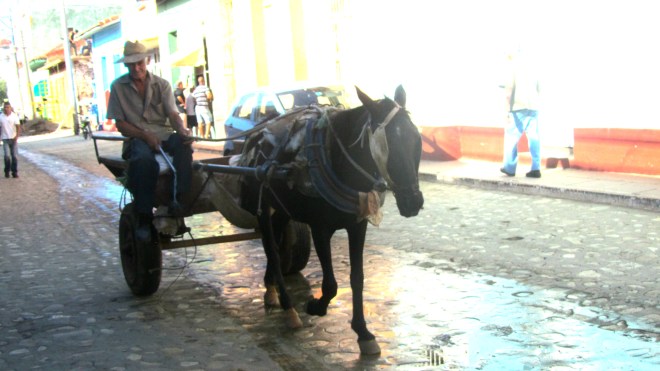 Horse and cart. I like it!