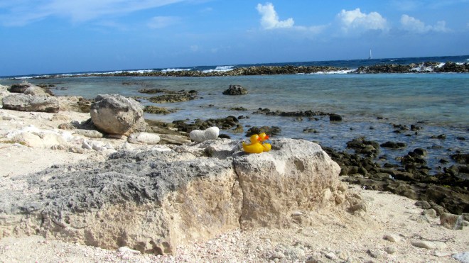 Rugged shore near baby beach