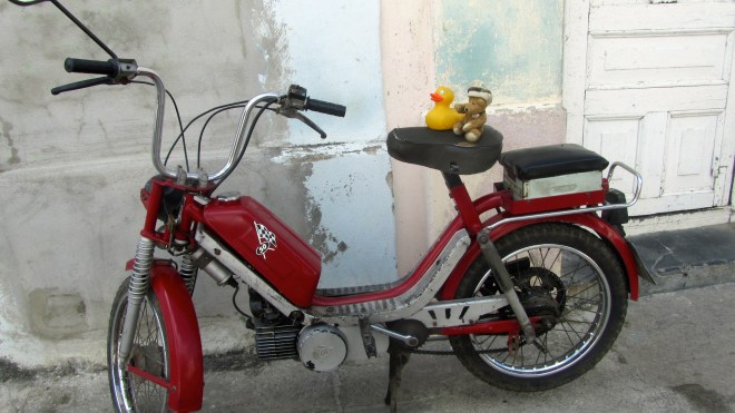 Zeb and Channel ready to ride