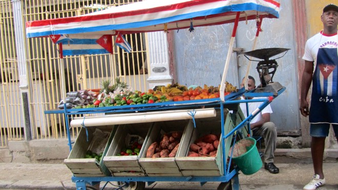Fresh vegetables available here.