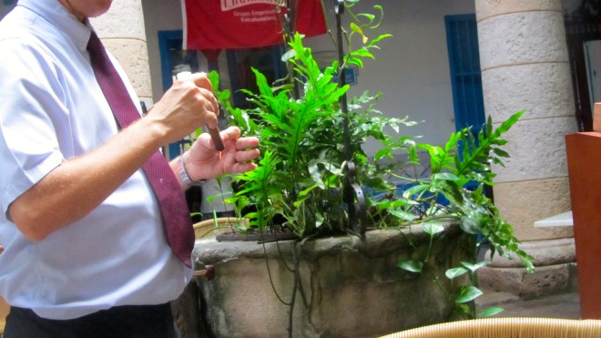 Light cigar with a burning strip of cedar