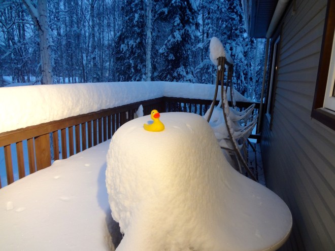 No cooking outside today